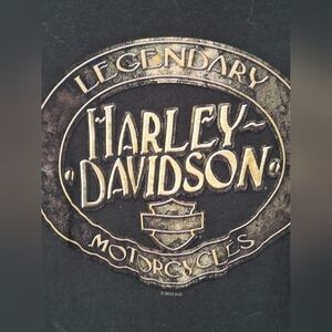 Harley Davidson Tee SzM Long Sleeves Army Greem Logo Front Marquette MI Back